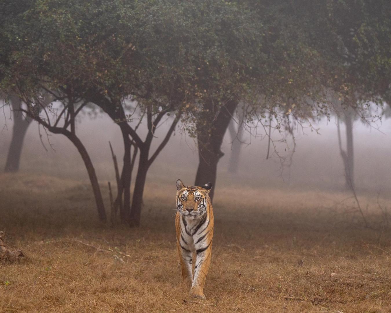 Khajuraho Glory Homestay Dış mekan fotoğraf