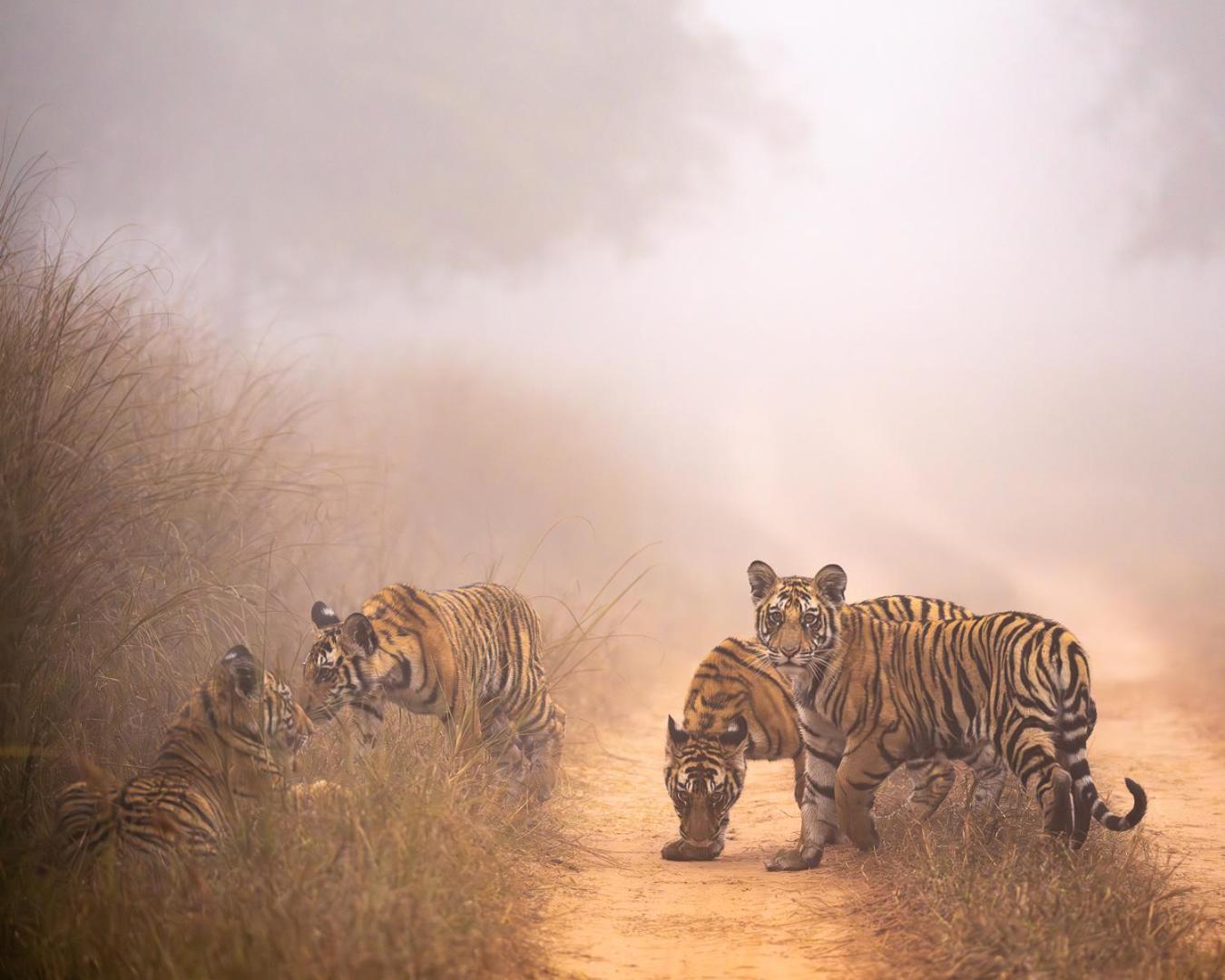Khajuraho Glory Homestay Dış mekan fotoğraf
